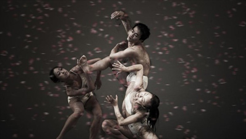 aulo-minuma-apo-tin-pagkosmia-imera-xorou