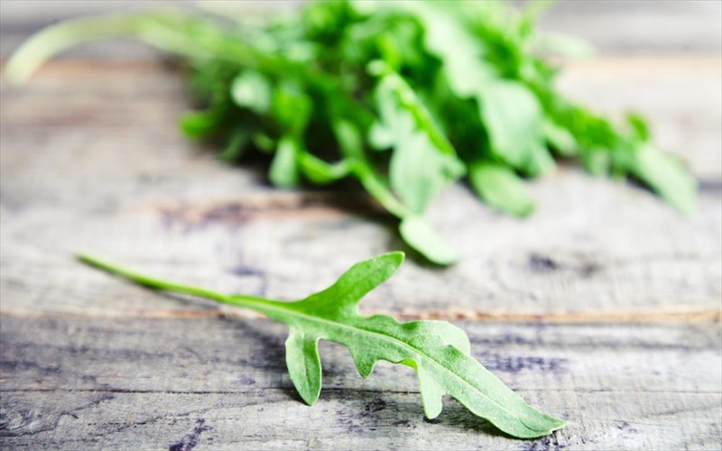 giati-prepei-na-bazoume-roka-sti-salata-mas