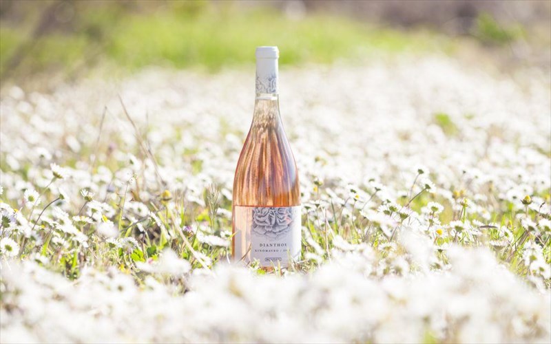 ena-neo-roze-erxetai-apo-ti-naousa