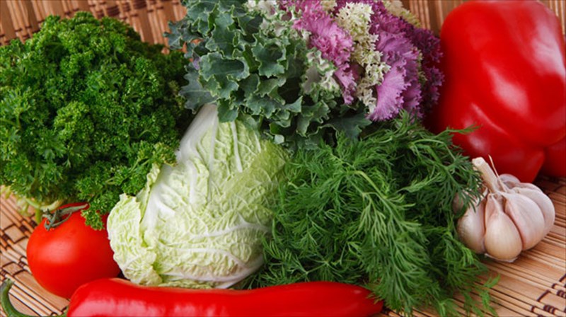 poios-tupos-xortofagou-eiste