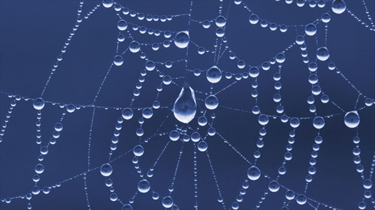 o-spider-man-kata-tis-anergias-sti-nea-yorki