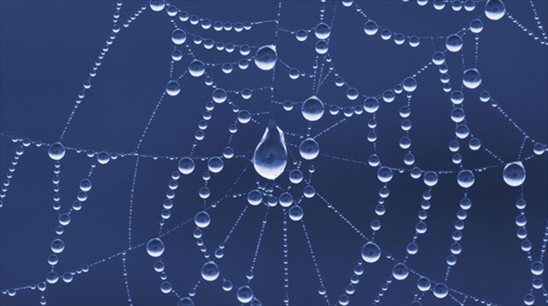 o-spider-man-kata-tis-anergias-sti-nea-yorki