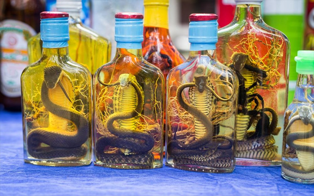 snake-wine