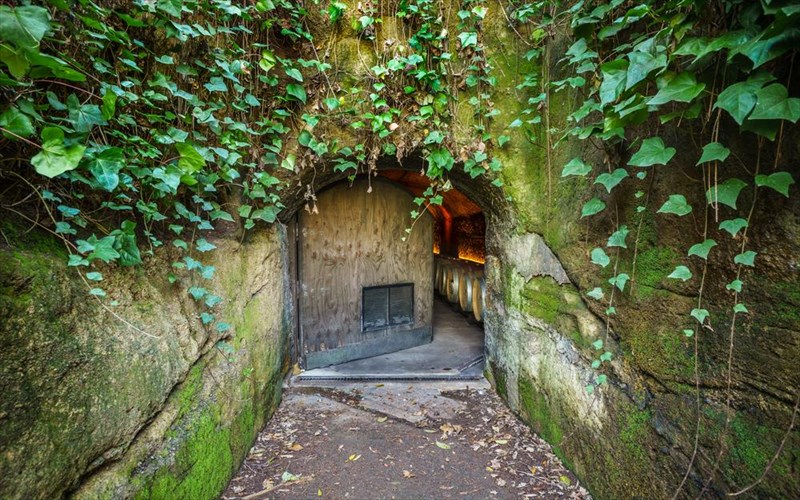 giortaste-tis-anoixtes-portes-sta-oinopoieia-tis-elladas