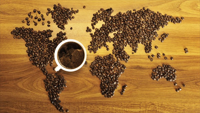 oi-10-gnostoteres-fules-tou-kafe