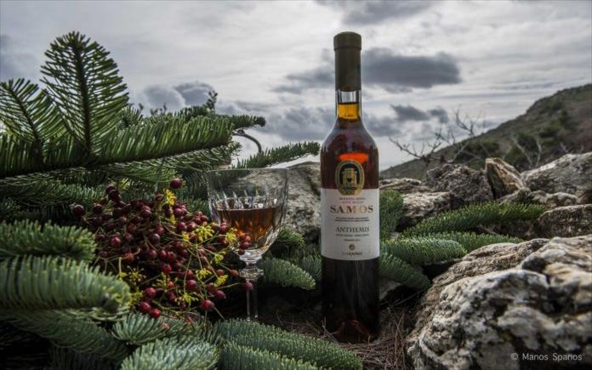 samos-anthemis
