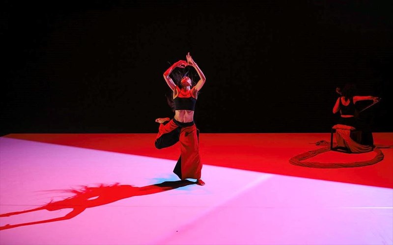 portraits-in-otherness-apo-tin-omada-tou-akram-khan