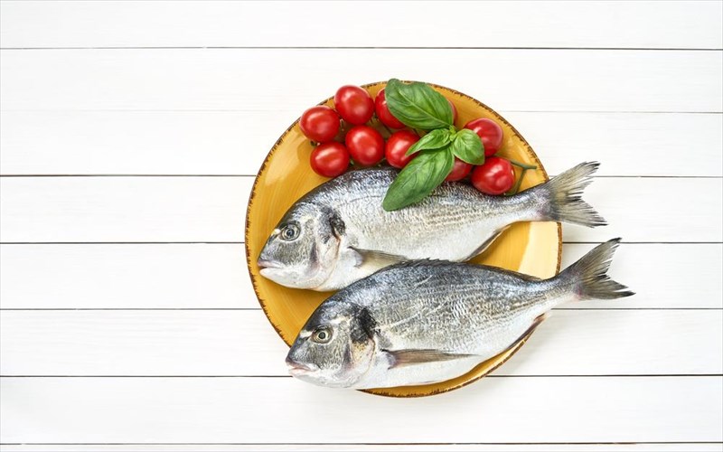 psaria-ixthuotrofeiou-vs-thalassas-osa-prepei-na-kserete