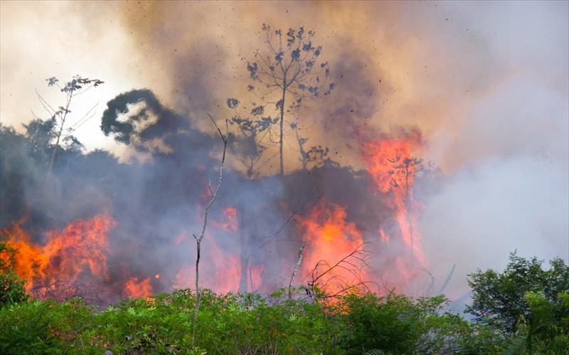o-kosmos-tou-theamatos-anisuxei-gia-tin-purkagia-ston-amazonio