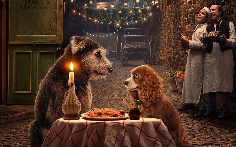 o-erotas-tis-laidis-kai-tou-aliti-anazopuronetai