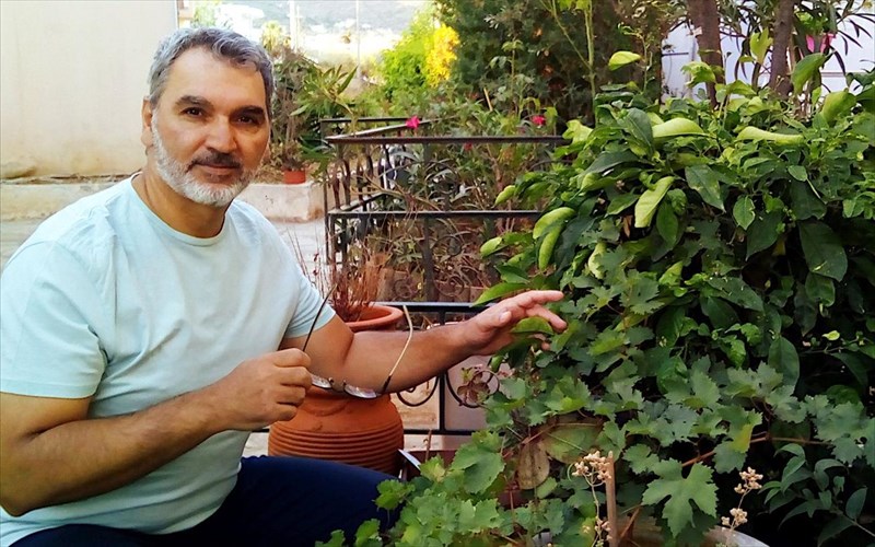 stamatis-logos-stin-trikumia-o-saikspir-katathetei-tin-apopsi-tou-gia-ton-anthropo-kai-ti-zoi-saikspir-katathetei-tin-apopsi-tou-gia-ton-anthropo-kai-ti-zoi