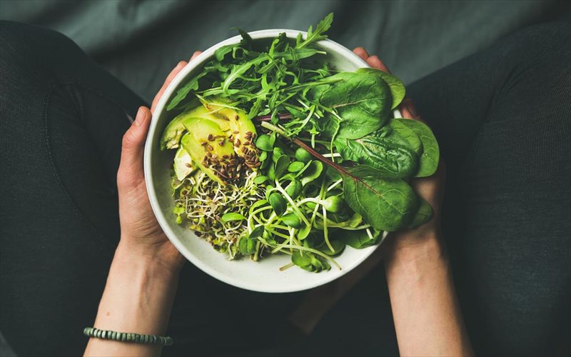 to-vegan-life-festival-epistrefei