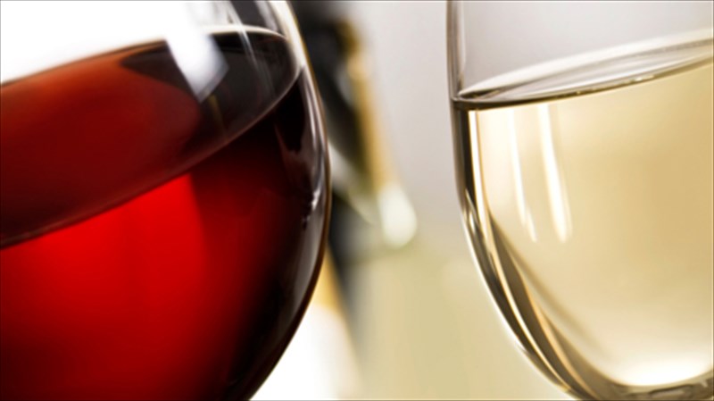 bradia-oinognosias-ston-basilaina