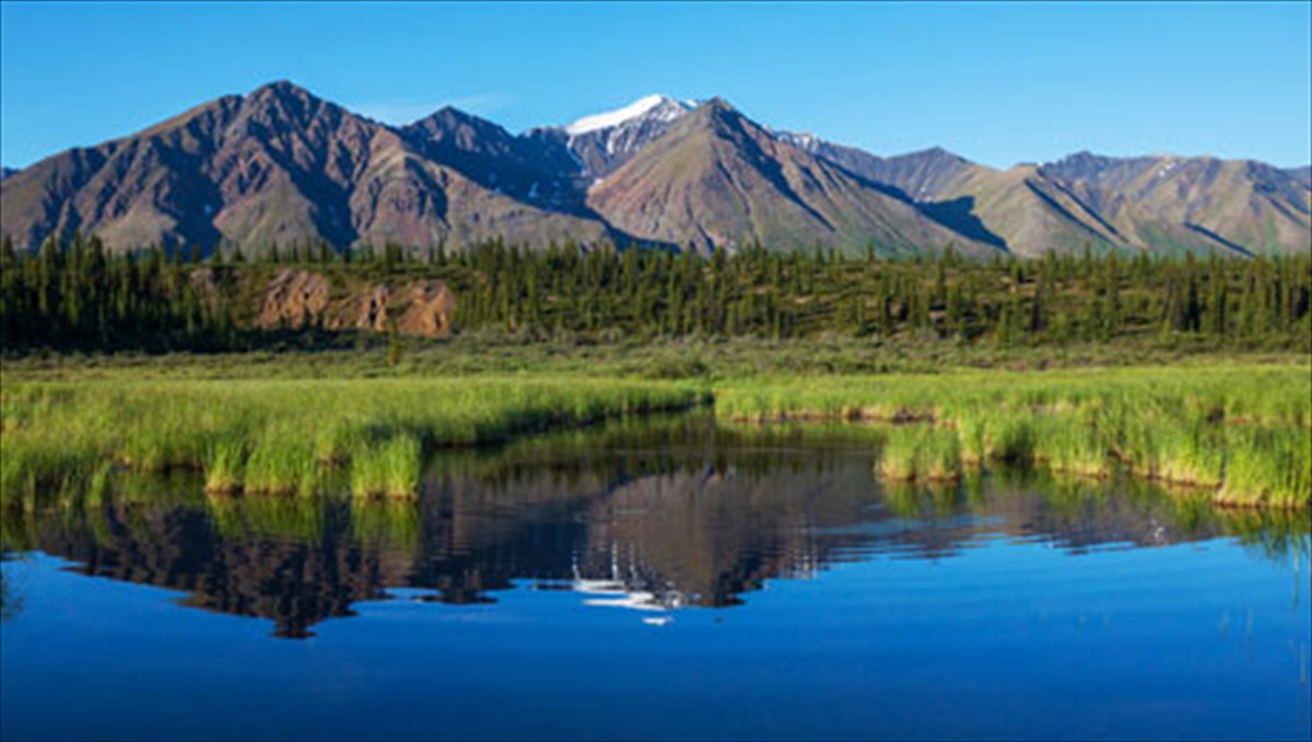 to-neo-muthistorima-tis-ntoras-giannakopoulou