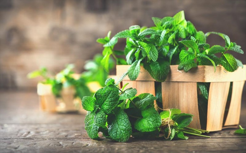 pos-na-aksiopoiisete-ton-duosmo-stin-kathimerinotita-sas