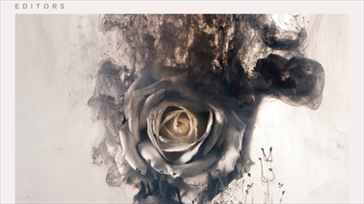 diskokritiki-the-weight-of-your-love-editors