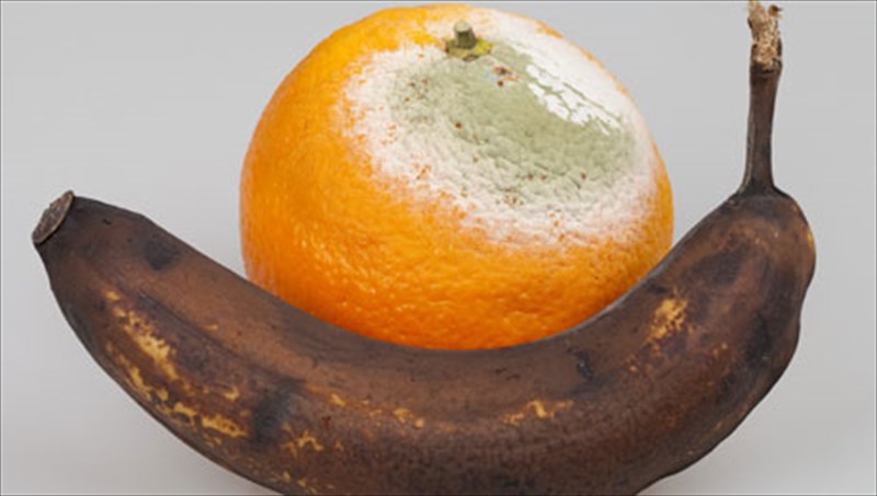 9-tropoi-gia-na-aksiopoiisete-ta-apofagia-tropoi-gia-na-aksiopoiisete-ta-apofagia