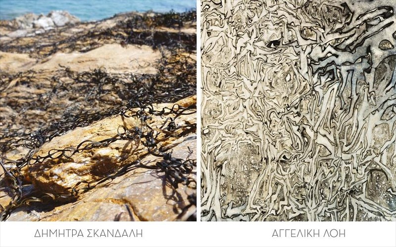 salty-fields-mia-diatomiki-ekthesi-sto-mouseio-irakleidon