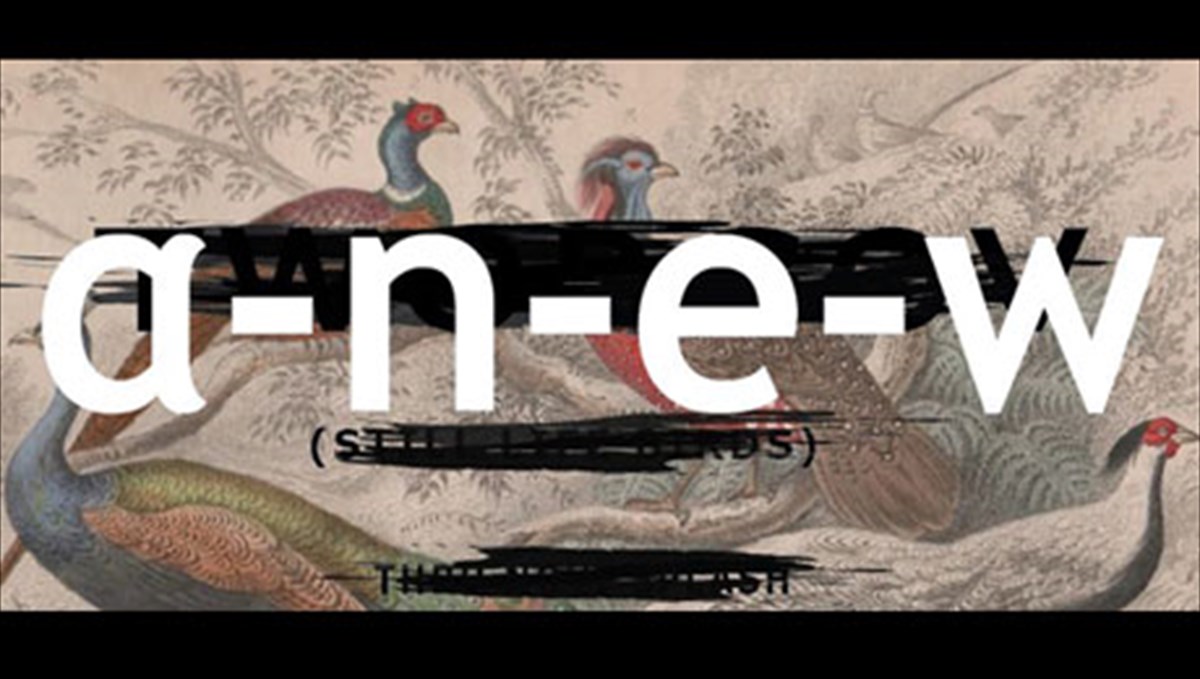 eikastikes-antifaseis-se-patria-edafi