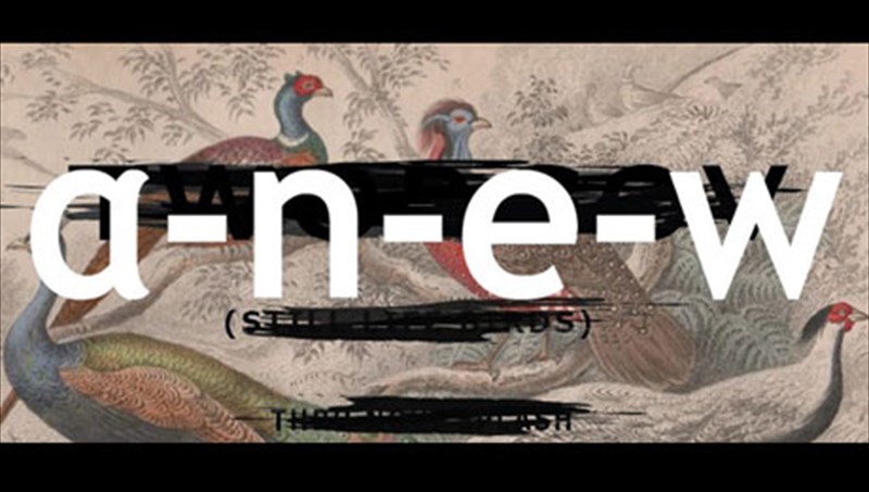 eikastikes-antifaseis-se-patria-edafi