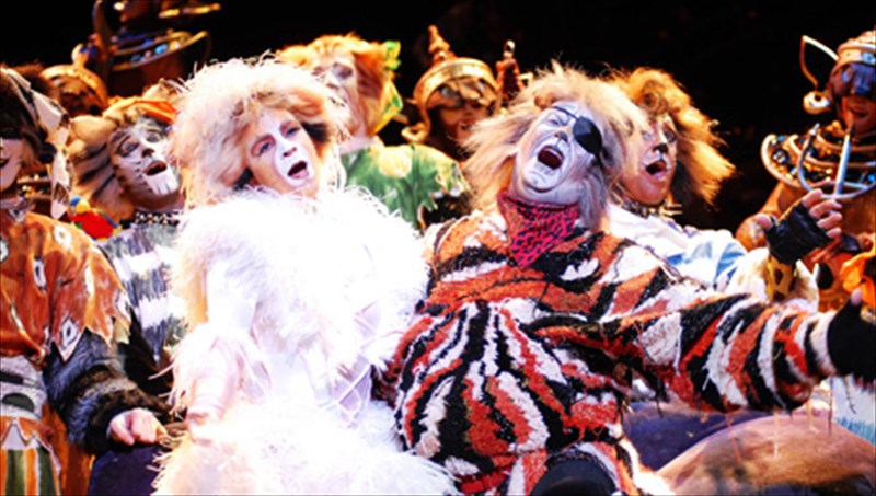 cats-oi-gates-tou-thrulikou-miouzikal-erxontai-me-agries-diatheseis