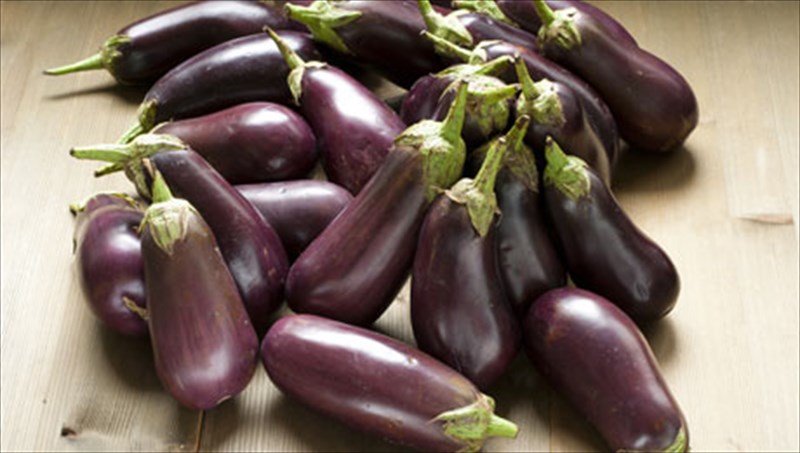 melitzana-ena-kalokairino-farmako-ston-kipo-sas