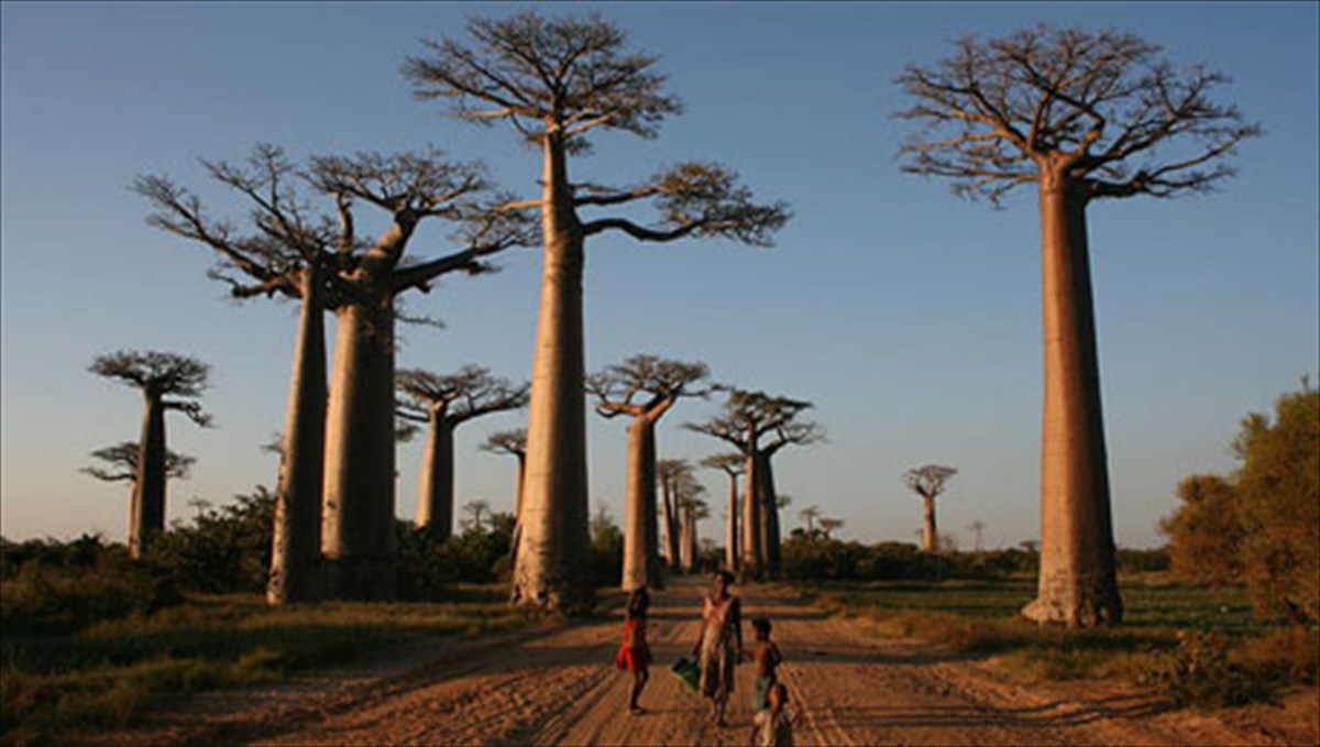 7-monadika-dasi-tou-planiti-monadika-dasi-tou-planiti