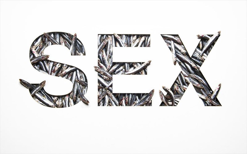 to-seks-kai-oi-ekfanseis-tou-sti-sugxroni-koinonia-tou-dutikou-politismou