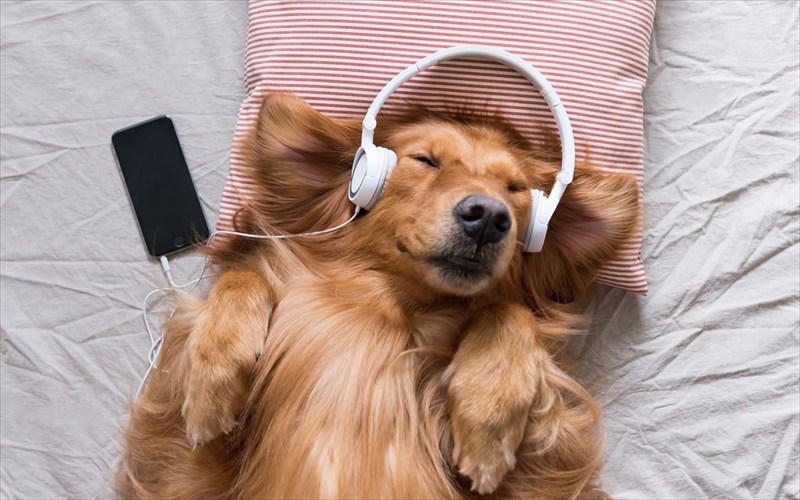 to-spotify-etoimazei-playlist-gia-ta-katoikidia-sas