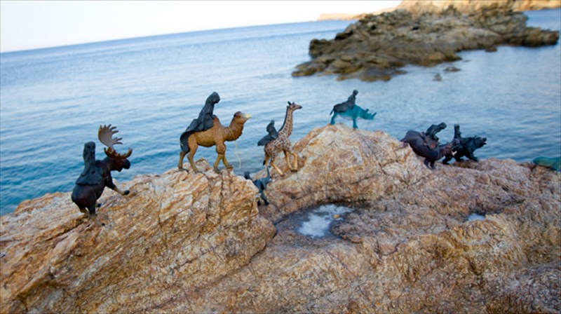 delfinia-sto-loutro-ton-aeridon