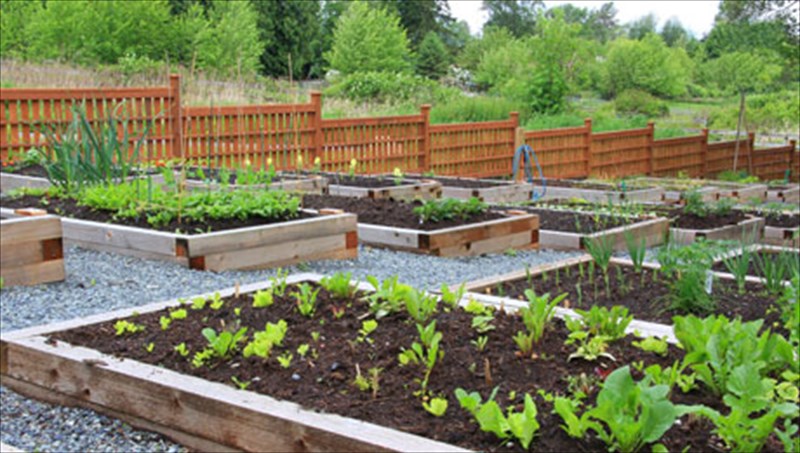 7-oikologikes-upertrofes