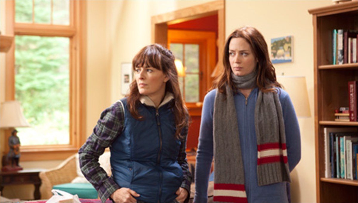 adelfikes-sxeseis-apo-ti-storgi-os-ton-antagonismo