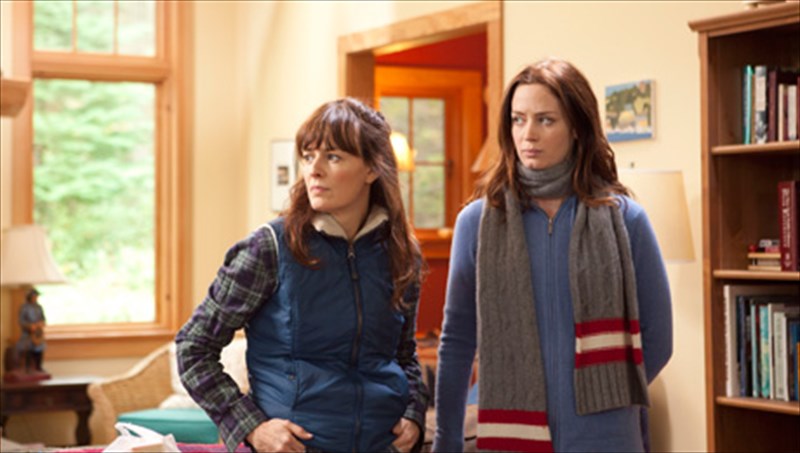 adelfikes-sxeseis-apo-ti-storgi-os-ton-antagonismo