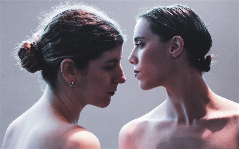 instar-xoreuontas-ton-kuklo-tis-zois-ton-arthropodon