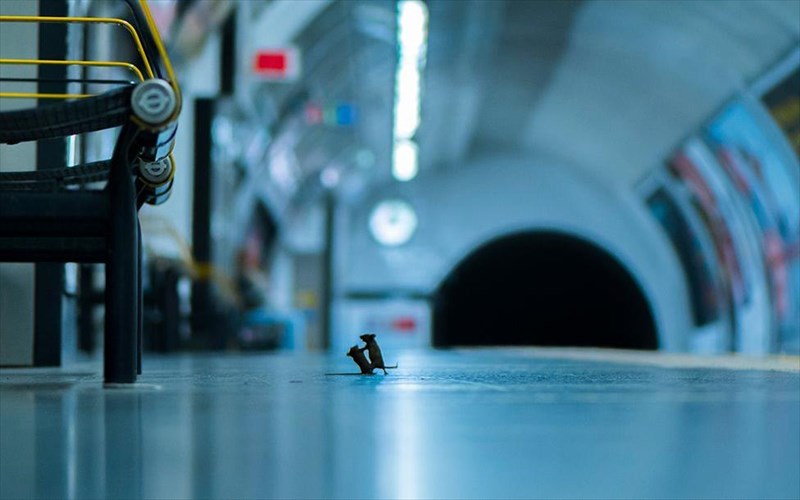 o-dramatikos-diapliktismos-duo-pontikion-sto-londino-kerdise-brabeio-fotografias