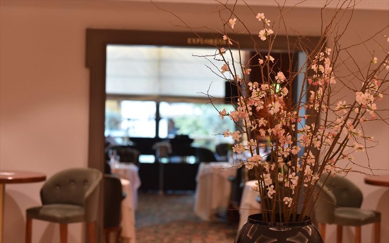 dokimasame-to-neo-menou-tou-explorers-bar