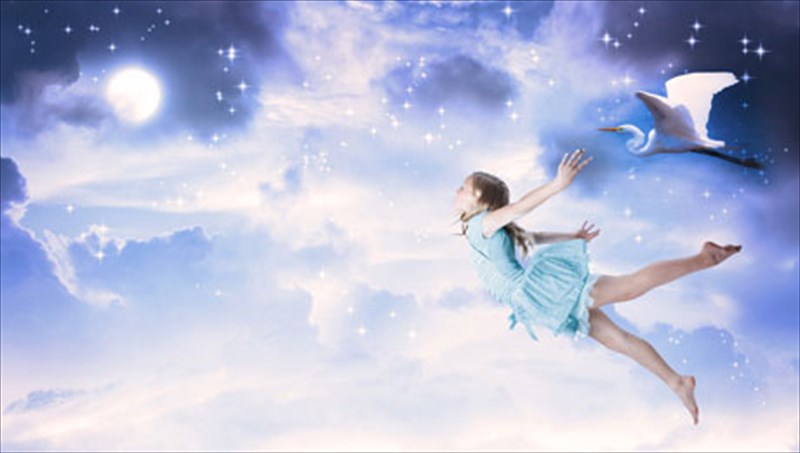 oneira-therinis-nuktos-12-agnostes-ptuxes