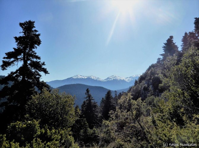 fotografiko-taksidi-stin-pauliani-to-pio-xioumoristiko-xorio