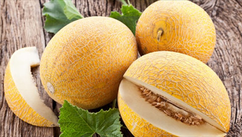 peponi-to-xrusafenio-threptiko-frouto-tou-kalokairiou