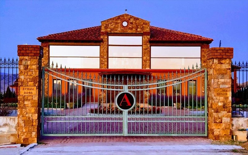 to-ktima-alfa-ksana-sta-50-dimofilestera-oinopoieia