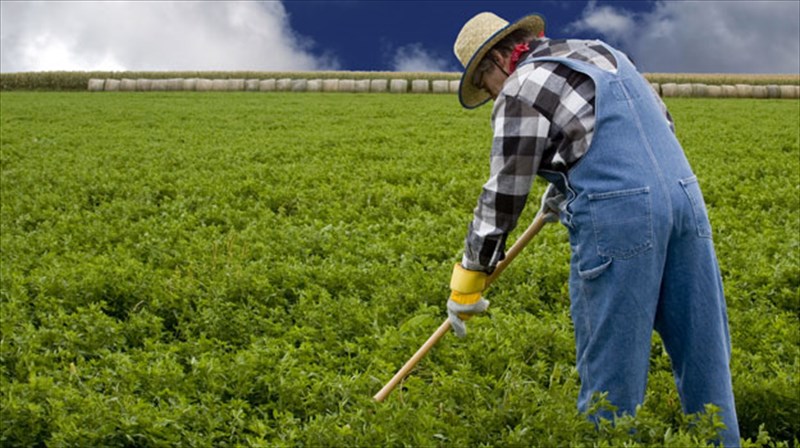 ta-parasitoktona-sti-georgia-prokaloun-anoia-kai-altsxaimer