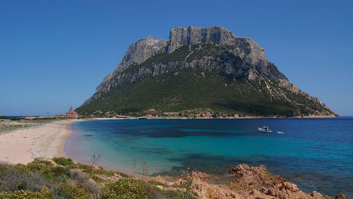 diakopes-to-fthinoporo-se-monadikous-kalokairinous-proorismous