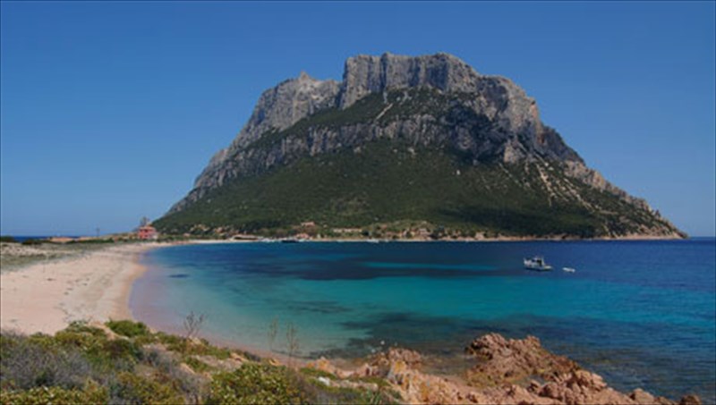 diakopes-to-fthinoporo-se-monadikous-kalokairinous-proorismous