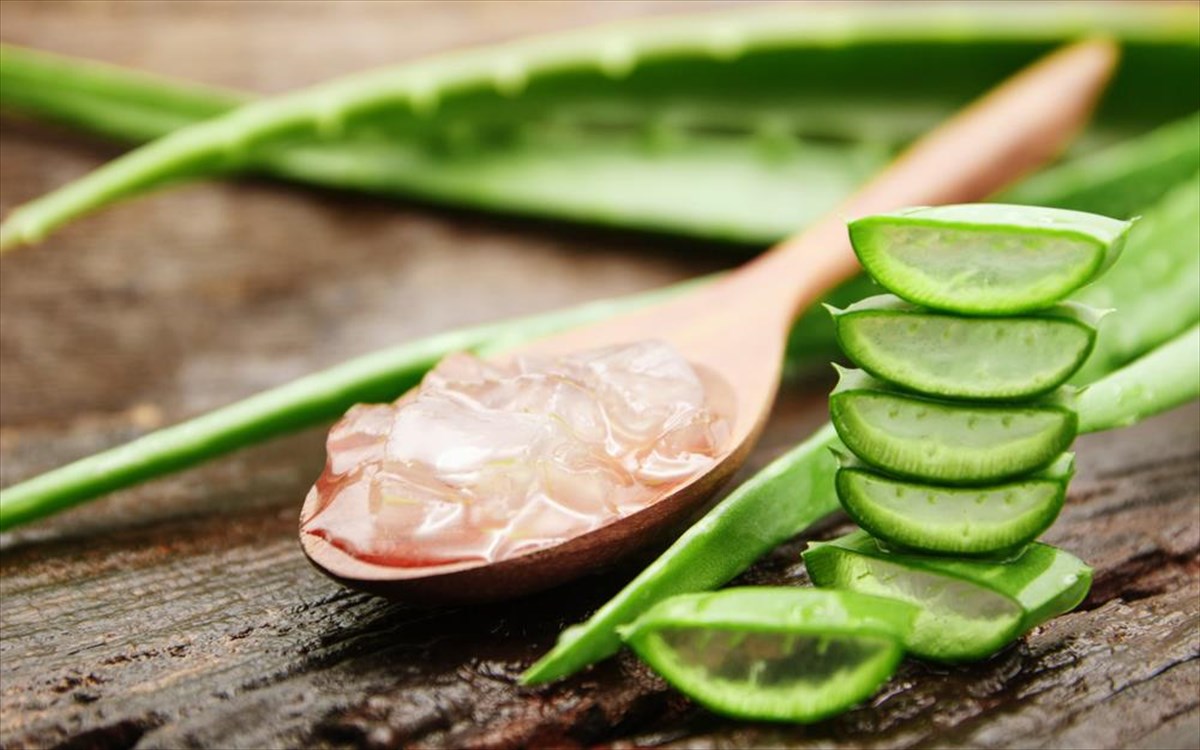 aloe-vera