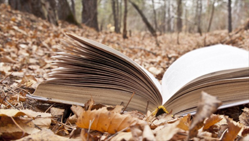 fthinoporinos-biblioruthmos-apo-empeiriko-kai-mpataig-os-ton-gianni-mari