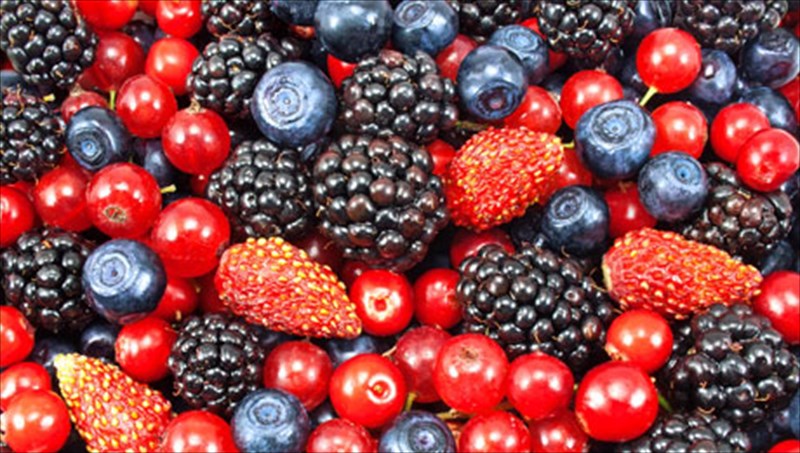 5-trofes-me-simantika-ofeli-gia-tin-ugeia-trofes-me-simantika-ofeli-gia-tin-ugeia