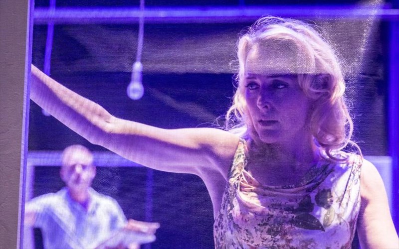 deite-online-tin-gillian-anderson-sto-leoforeio-o-pothos-pothos