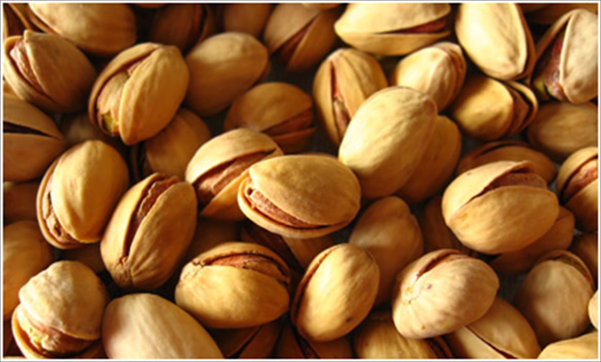 to-fistiki-giortazei-ksana-stin-aigina