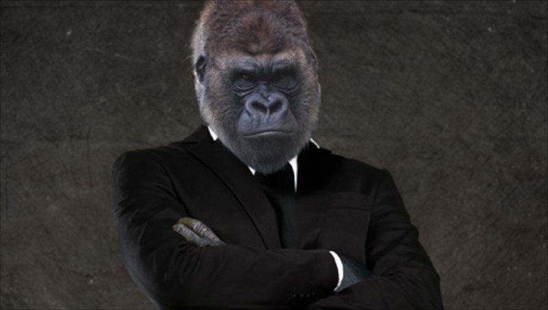 oi-mustiriodeis-kodikes-tis-anthropinis-sumperiforas-kai-i-zoiki-proeleusi-tous-zoiki-proeleusi-tous