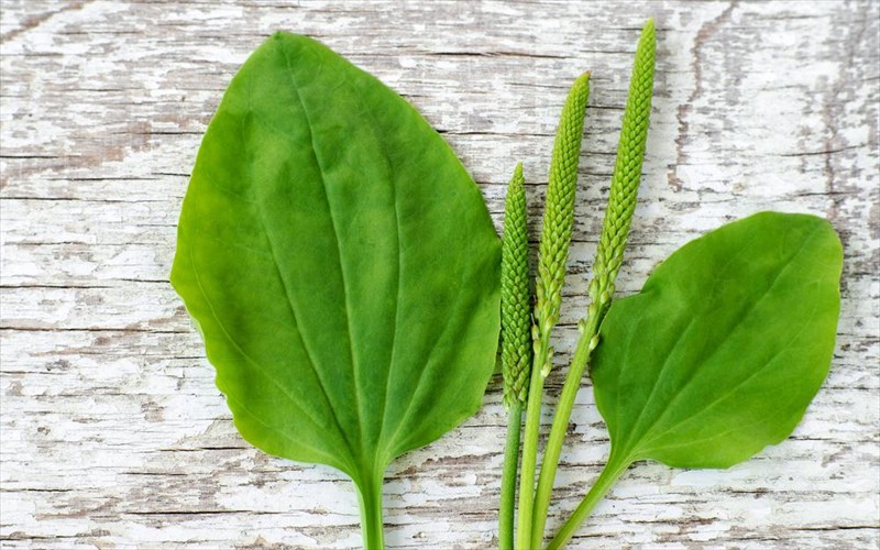 exete-akousta-to-psullio